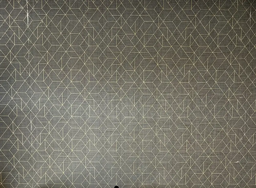 A wall covered in geometric line wallpaper